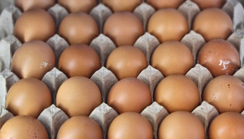 Thumbnail for US egg producers face fresh class action lawsuits over price-fixing allegations