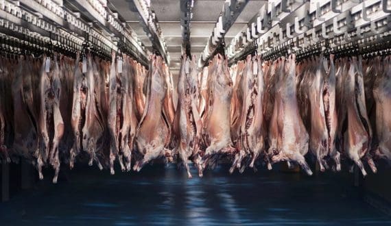 Thumbnail for Rwanda ends eight-year ban on South African meat, agricultural imports