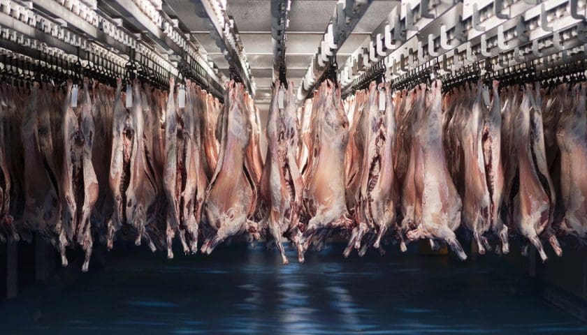 Thumbnail for Rwanda ends eight-year ban on South African meat, agricultural imports