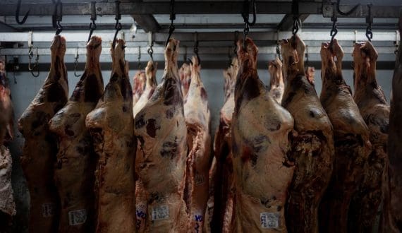Thumbnail for Tyson Foods to close Nebraska beef plant amid losses