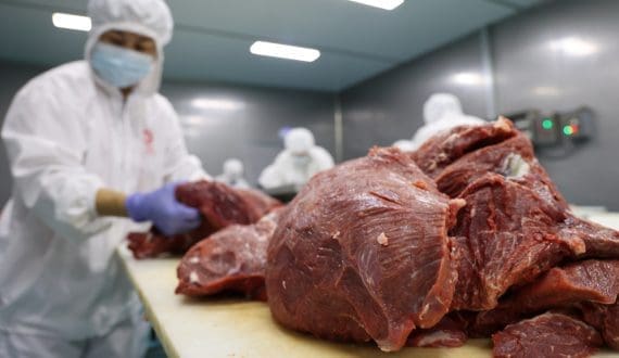 Thumbnail for China extends beef import probe amid domestic oversupply