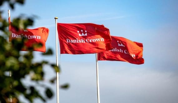 Thumbnail for Danish Crown to pay record US$18 million to cattle owners