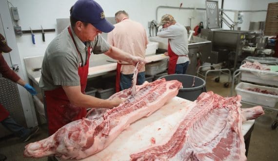 Thumbnail for Canadian pork secures market share in high-value exports through adaptability