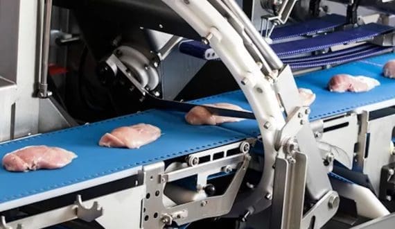 Thumbnail for JBT Marel unveils full-line poultry processing solutions to drive smarter automation