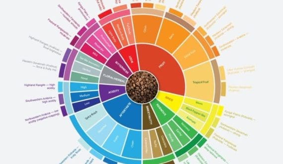 Thumbnail for Uganda unveils first national coffee flavor profiles to boost traceability, specialty market value 