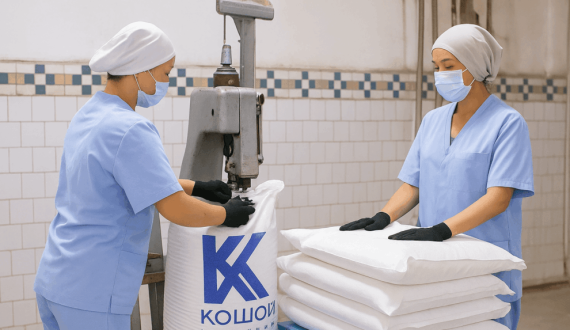 Thumbnail for Cengiz Holding to invest US$500m in two sugar plants in Kazakhstan 