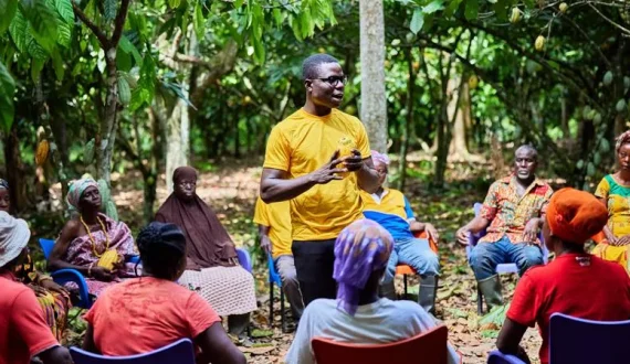 Thumbnail for ofi surpasses cocoa sustainability milestones, strengthens farmer resilience and long-term supply security 