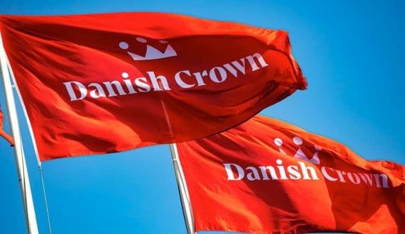 Thumbnail for Danish Crown says Chinese tariffs drag down annual profit