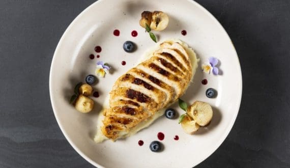 Thumbnail for SuperMeat secures US$3.5M to launch cultivated chicken in Europe