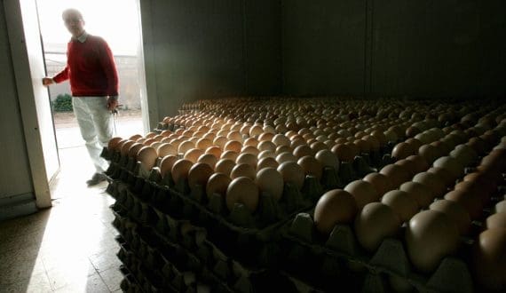 Thumbnail for South Africa’s supreme court reverses high court decision on poultry imports