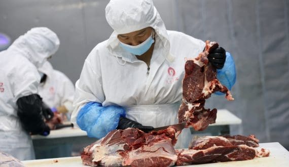 Thumbnail for Global beef production expected to decline further in 2025 – Rabobank