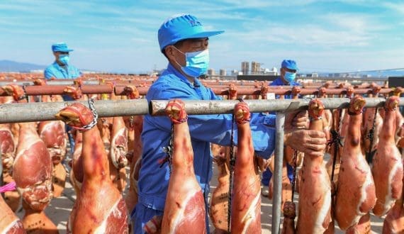 Thumbnail for China suspends pork imports from Barcelona amid African Swine fever case