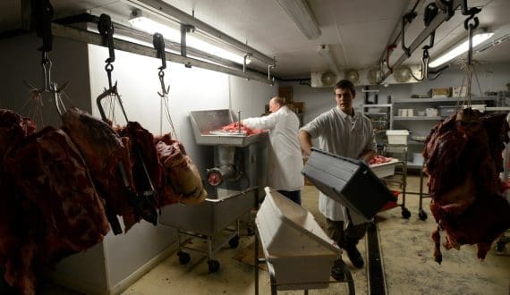 Thumbnail for UK beef prices surge 27.4% as supply pressures deepen