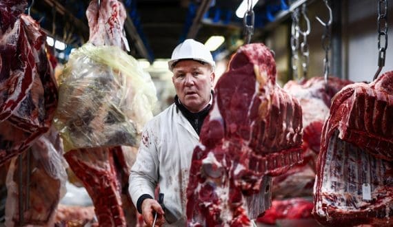 Thumbnail for US red meat production declines in October 2025