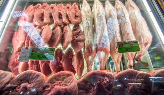 Thumbnail for Brazil’s chicken, pork exports projected to rise in 2025 despite bird flu outbreaks