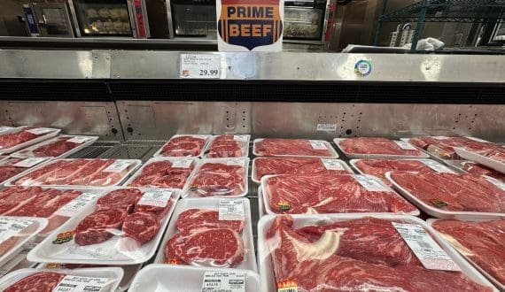Thumbnail for Brazil overtakes United States as largest beef producer in 2025