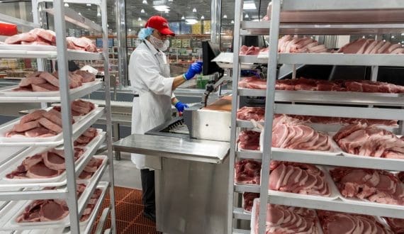 Thumbnail for Mexico launches investigation into US pork imports over dumping, subsidies