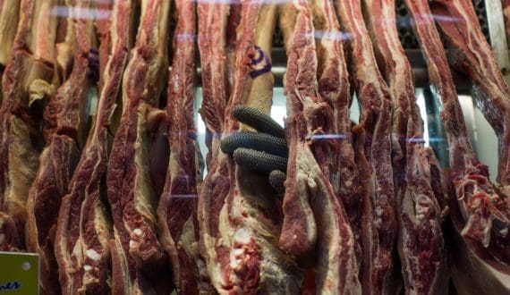 Thumbnail for South Africa’s beef industry faces uncertainty amid rising prices, disease pressures