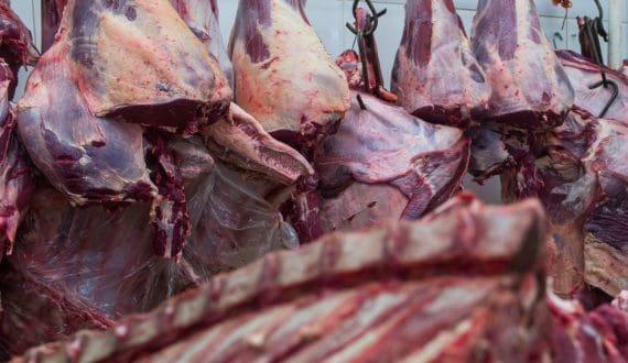 Thumbnail for Meat prices surge as Trump administration scrutinizes processors