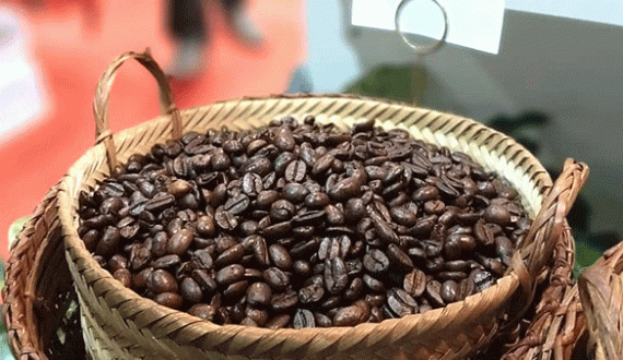 Thumbnail for Laos launches Asia’s first hydrogen-powered coffee roasting plant to boost exports, sustainable production 