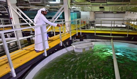 Thumbnail for Oman launches “Sea-to-Shelf” program to transform fisheries sector