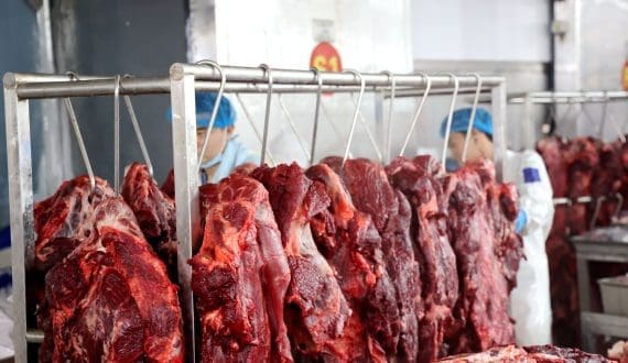 Thumbnail for China imposes 55% tariff on beef imports exceeding quotas