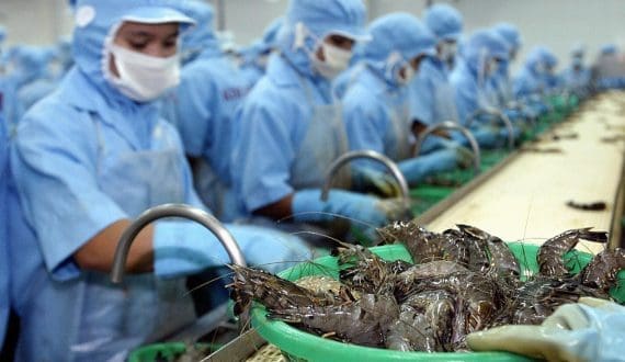 Thumbnail for Vietnam’s seafood exports rise 12.4% in 2025, reach nearly US$11.3B