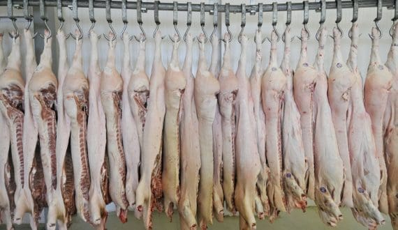 Thumbnail for Russia begins pork exports to Africa