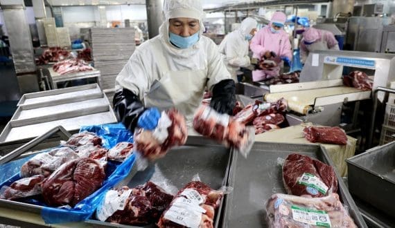 Thumbnail for China reopens Canadian beef imports as safeguard tariffs reshape global trade