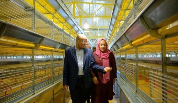 Thumbnail for Zanzibar’s poultry sector prepares for capacity shift as Zanbreed launches large-scale broiler project