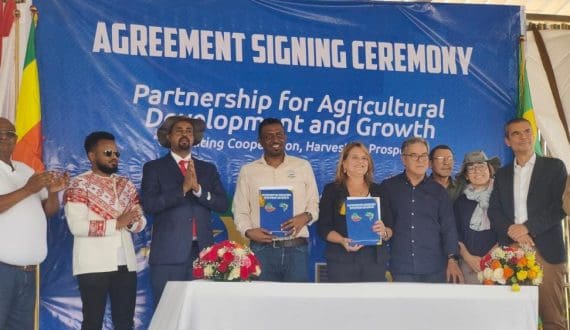 Thumbnail for Ethiopia’s Kerchanshe Group, Brazil’s Embrapa sign coffee technology cooperation agreement 