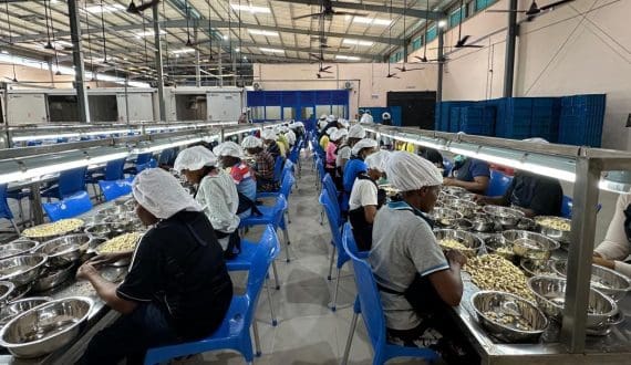 Thumbnail for Argentina’s fish exports hit second-highest level in 2025 – CAPeCA