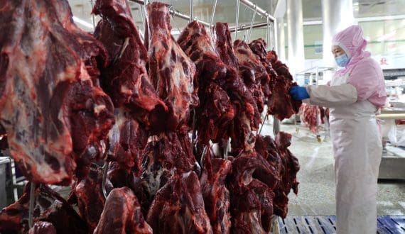 Thumbnail for US beef returns to Australian market after 23-year ban