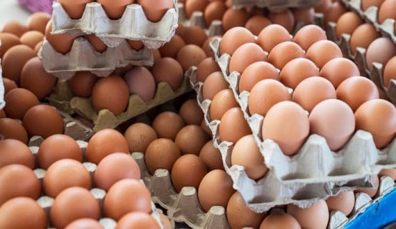 Thumbnail for South Korea turns to U.S. egg imports as avian influenza disrupts supply
