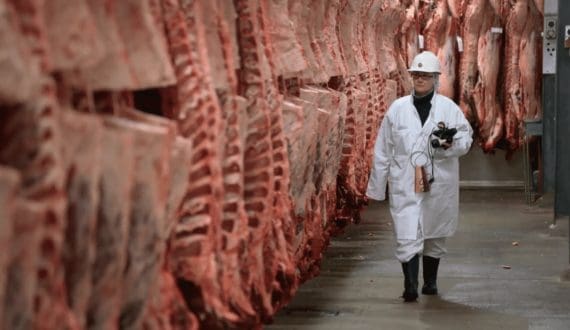 Thumbnail for German meat industry warns of rising global protein demand