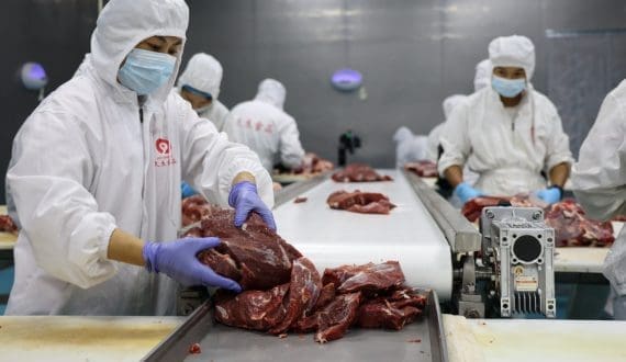 Thumbnail for U.S. beef exports to China blocked as other markets show growth
