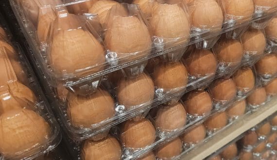 Thumbnail for France hits record egg consumption in 2025