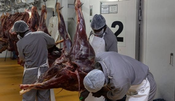 Thumbnail for Namibia’s Meatco returns to profit as revenue rises to US$104M ahead of AGM