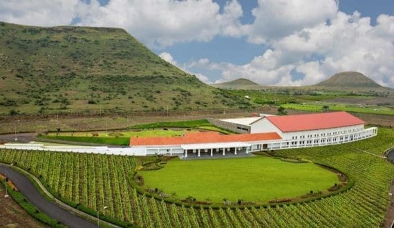 Thumbnail for Sula Vineyards acquires Moët Hennessy’s Chanon estate in India