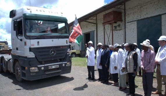 Thumbnail for Kenya exports first EUDR-compliant coffee shipment to EU, boosting sustainable trade 
