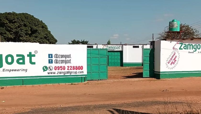 Thumbnail for Oxano Capital invests in Zambia’s Zamgoat to expand goat meat processing and exports