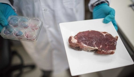 Thumbnail for FAO calls for clearer rules on cultivated and precision-fermented foods