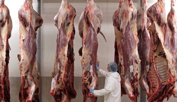 Thumbnail for Lantmännen acquires two Swedish slaughterhouses