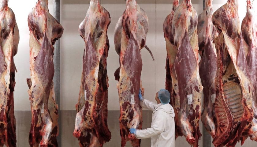 Thumbnail for Lantmännen acquires two Swedish slaughterhouses