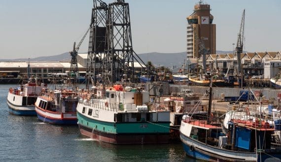 Thumbnail for Coalition for Fisheries Transparency applauds full ratification of Cape Town Agreement