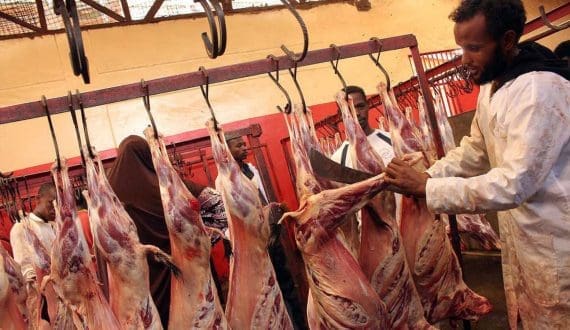 Thumbnail for Kenyan meat exporters face US$7.3M losses as Middle East conflict disrupts trade