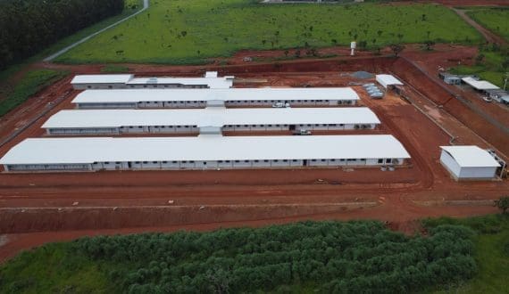 Thumbnail for Hubbard invests US$11.4M to expand broiler breeding in Brazil