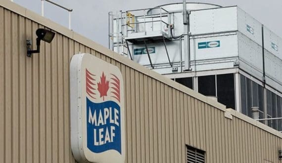 Thumbnail for Canada’s Maple Leaf signals commitment to plant-based meat following pork spin-off