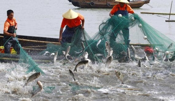 Thumbnail for China approves major revisions to its fisheries law