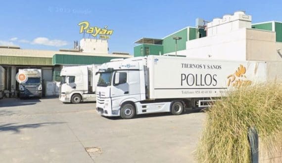 Thumbnail for MHP backed Uvesa agrees to acquire Spanish poultry firm Payán Hermanos